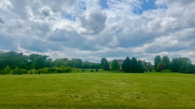 a view of building with garden