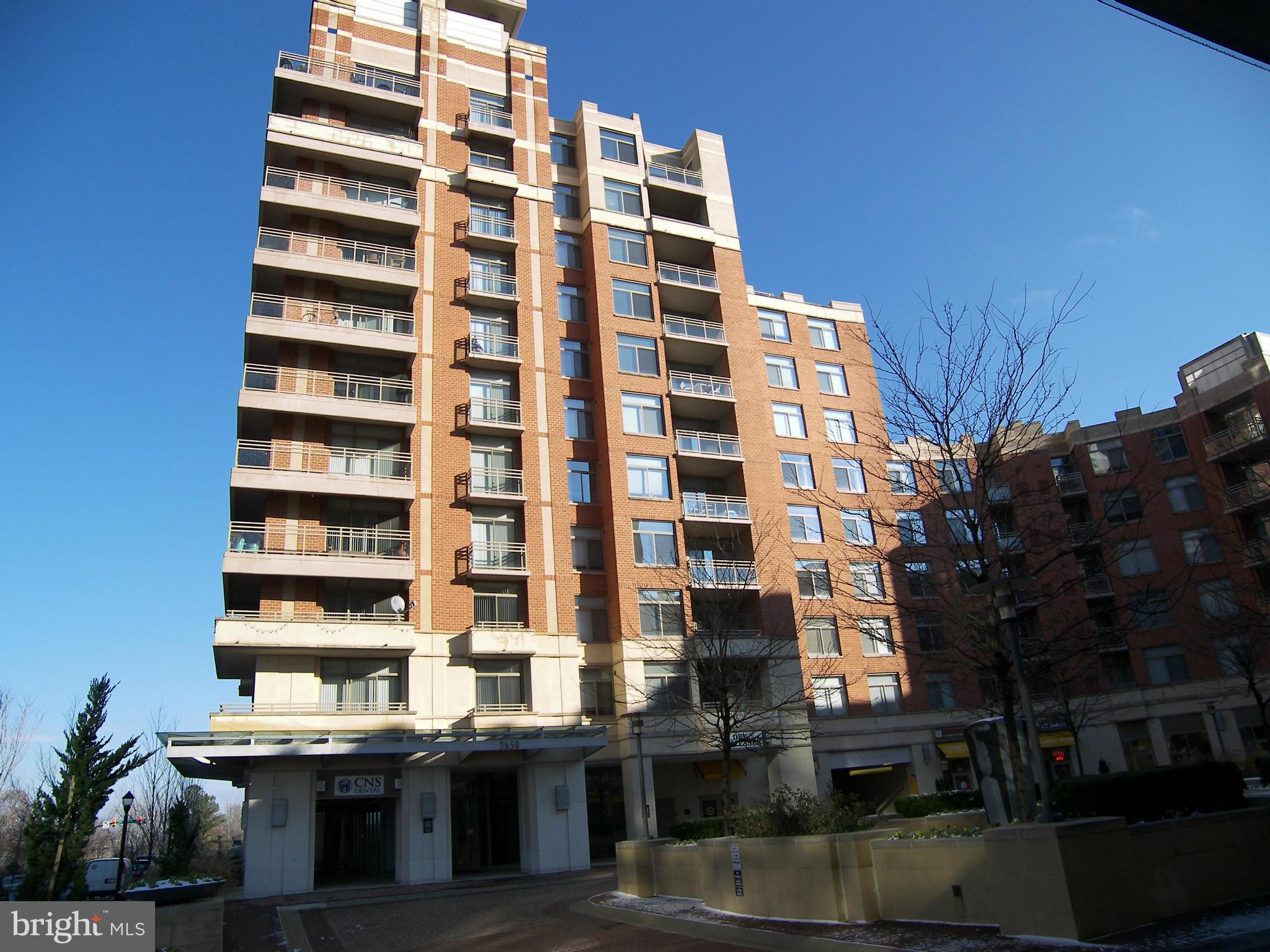 3650 South Glebe Road, Unit 244E Arlington, VA 22202 - Photo 2 of 13 Exterior (General)