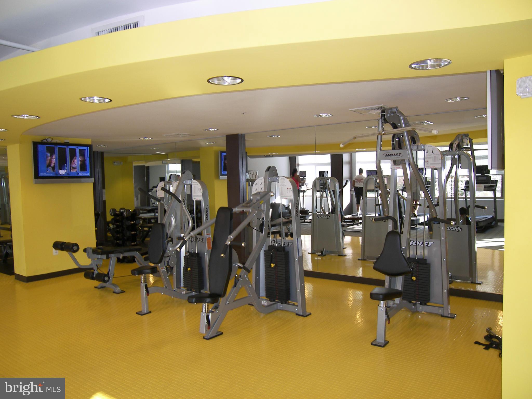 3650 South Glebe Road, Unit 244E Arlington, VA 22202 - Photo 10 of 13 Interior (General)