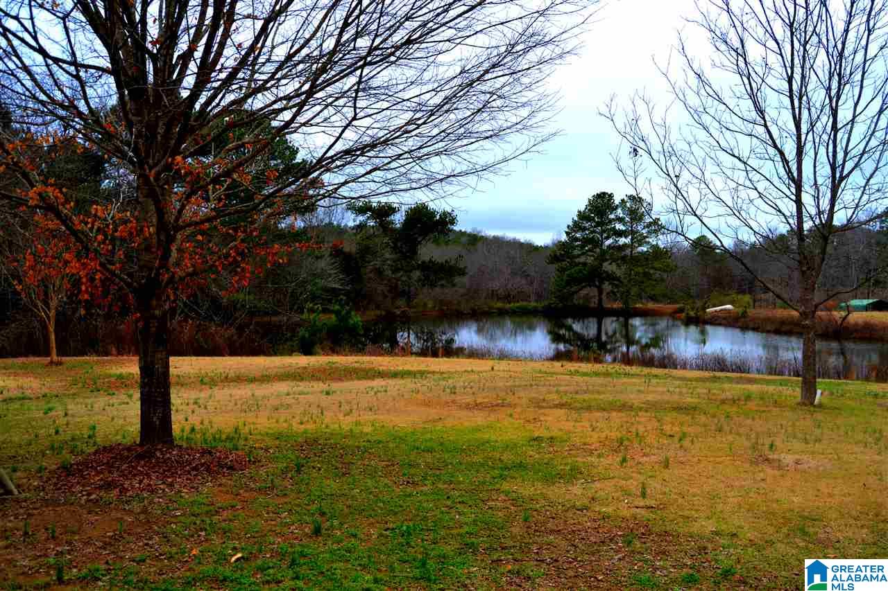 2250 Wallstown Road Hayden, AL 35079 - Photo 5 of 20 Gallery Image 5