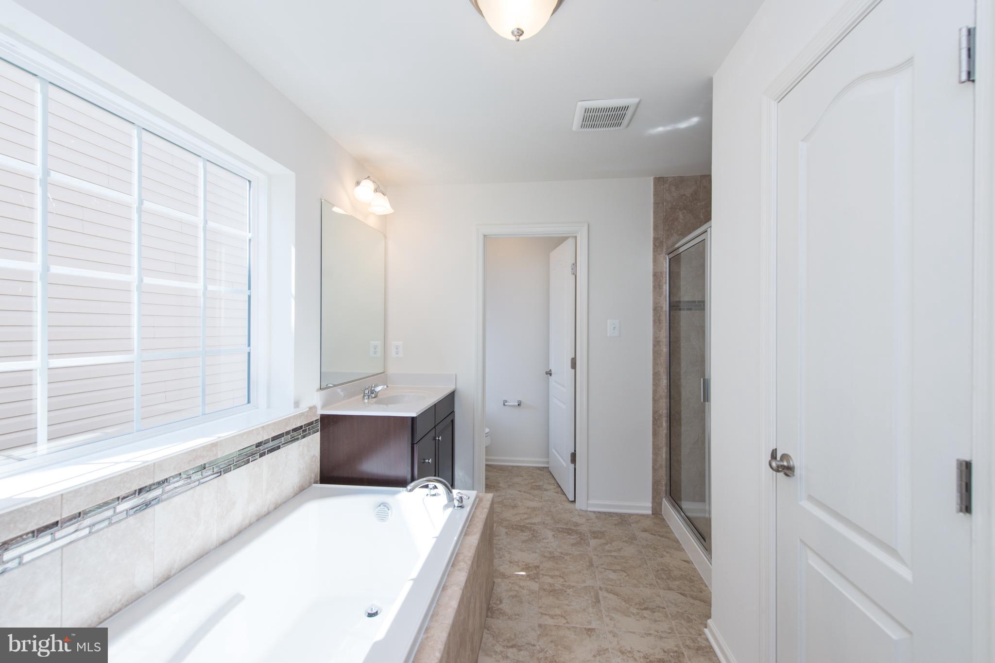 910 Ramble Run Road Baltimore, MD 21220 - Photo 24 of 30 a bathroom with a tub sink and mirror