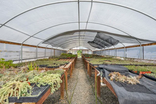 a view of a house with a yard and potted plants