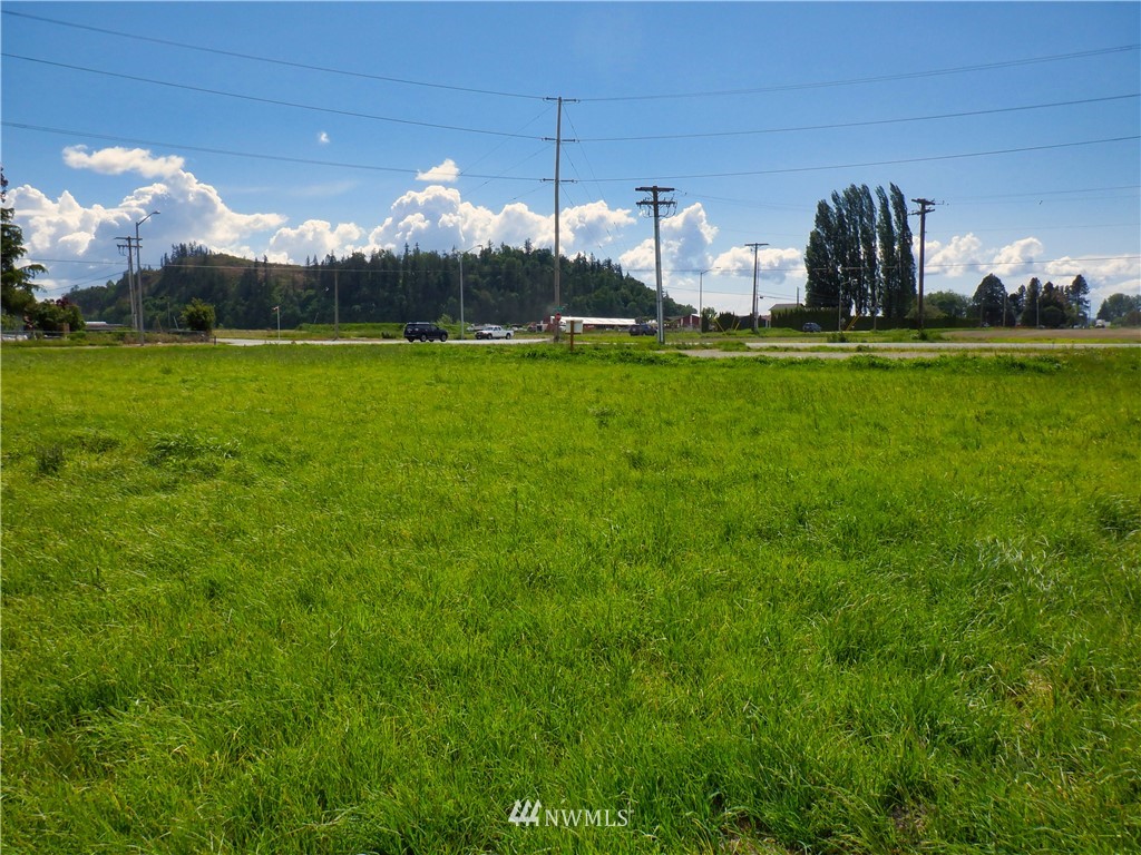 9479 District Line Road Burlington, WA 98233 - Photo 4 of 16 Gallery Image 4