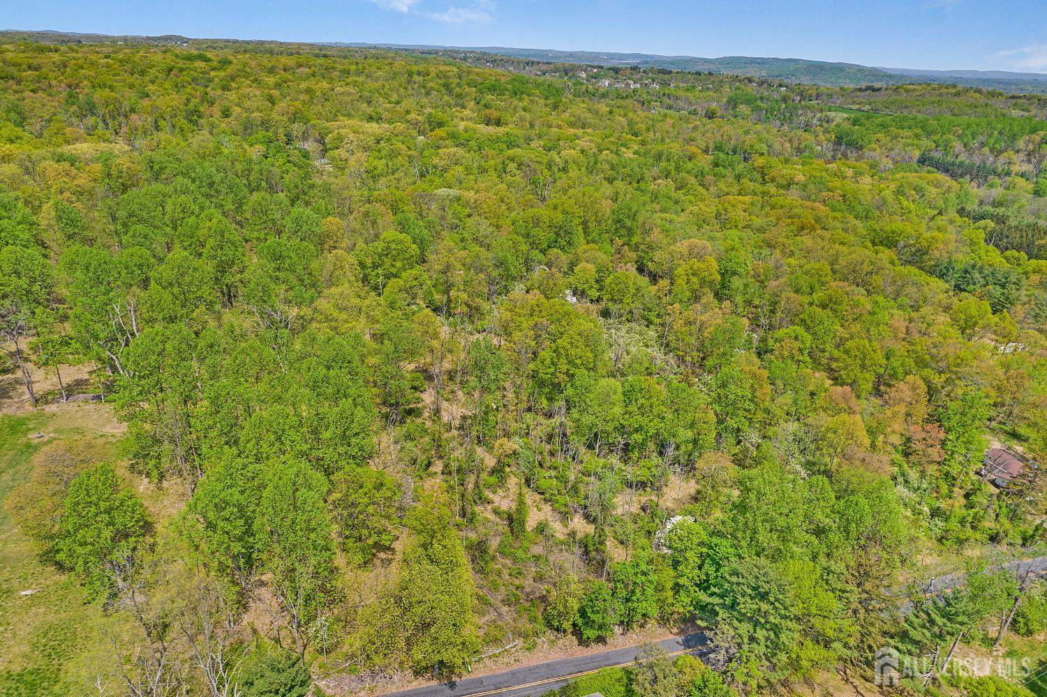 00 Hardscrabble Hill Route Flemington, NJ 08822 - Photo 5 of 6