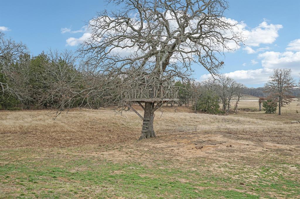 718 County Road 232 Collinsville, TX 76233 - Photo 33 of 35