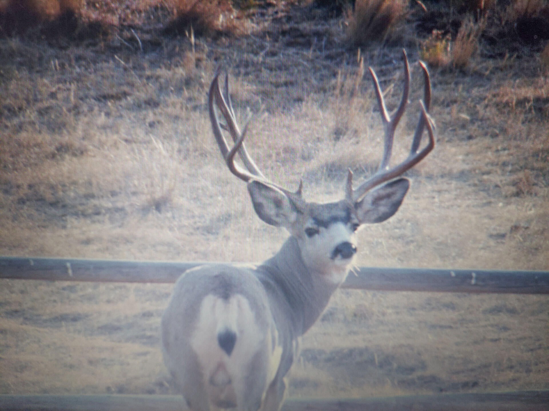 593 Lower Prairie Dog Road Sheridan, WY 82801 - Photo 24 of 142 123_1(9)