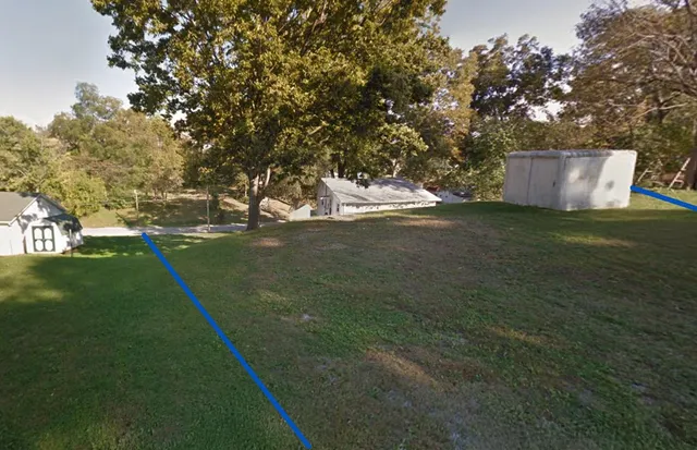 a view of a tree in a yard