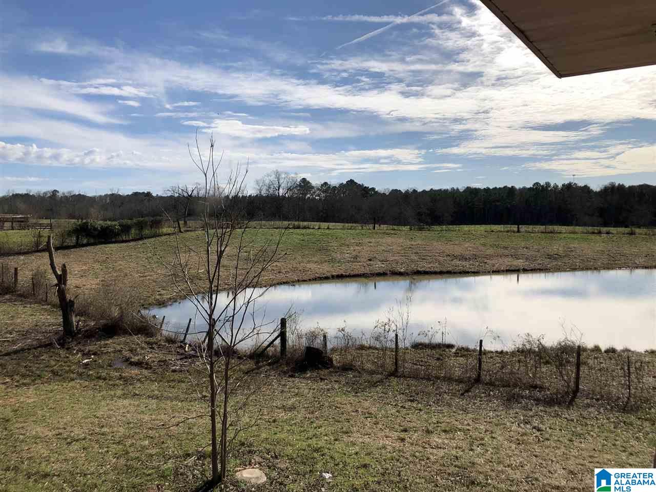 609 Cobb Brazeel Road Trafford, AL 35172 - Photo 17 of 42