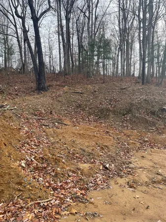 a view of dirt yard with trees