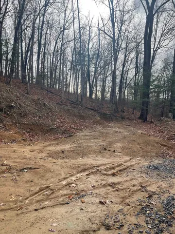 $50,000 | Tbd Smoky Row Road, Staunton, VA 24401