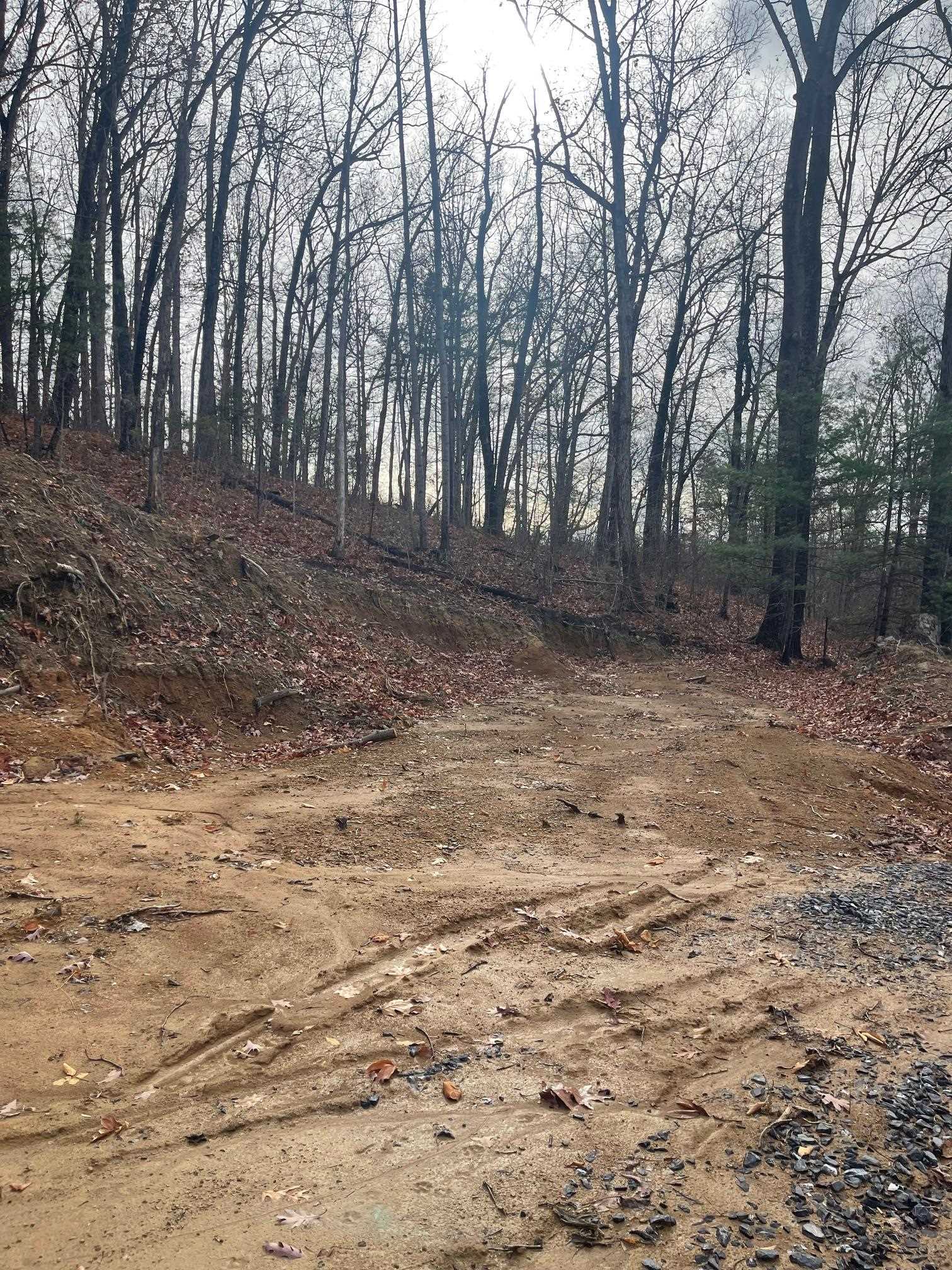 Tbd Smoky Row Road Staunton, VA 24401 - Photo 4 of 6 a view of backyard with large trees