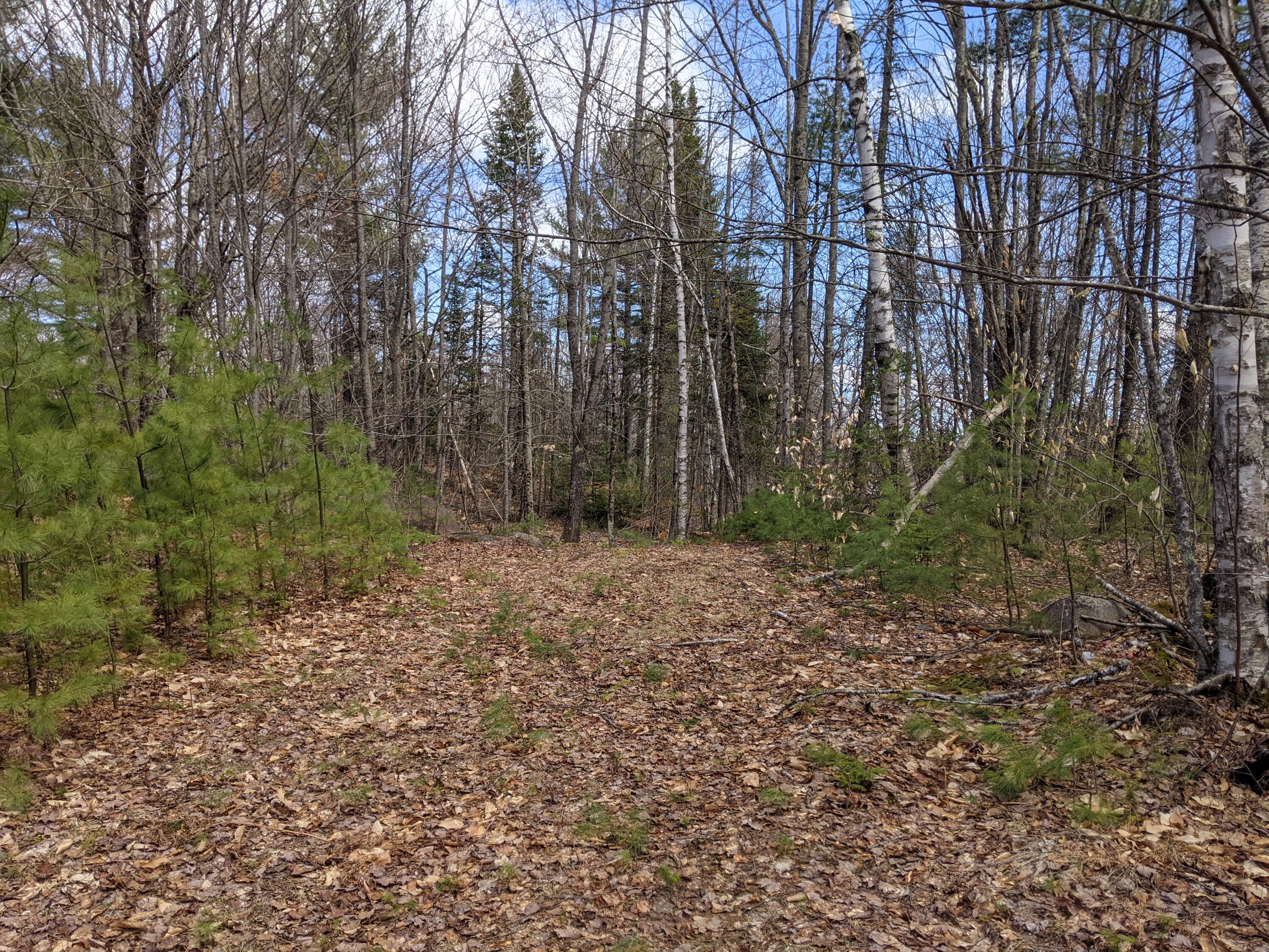 Off Bean Road Mercer, ME 04957 - Photo 4 of 6 PXL_20210413_175237097