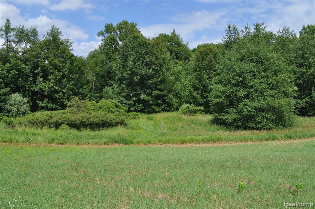 0 West Coon Lake Road Webberville, MI 48892 - Photo 22 of 38