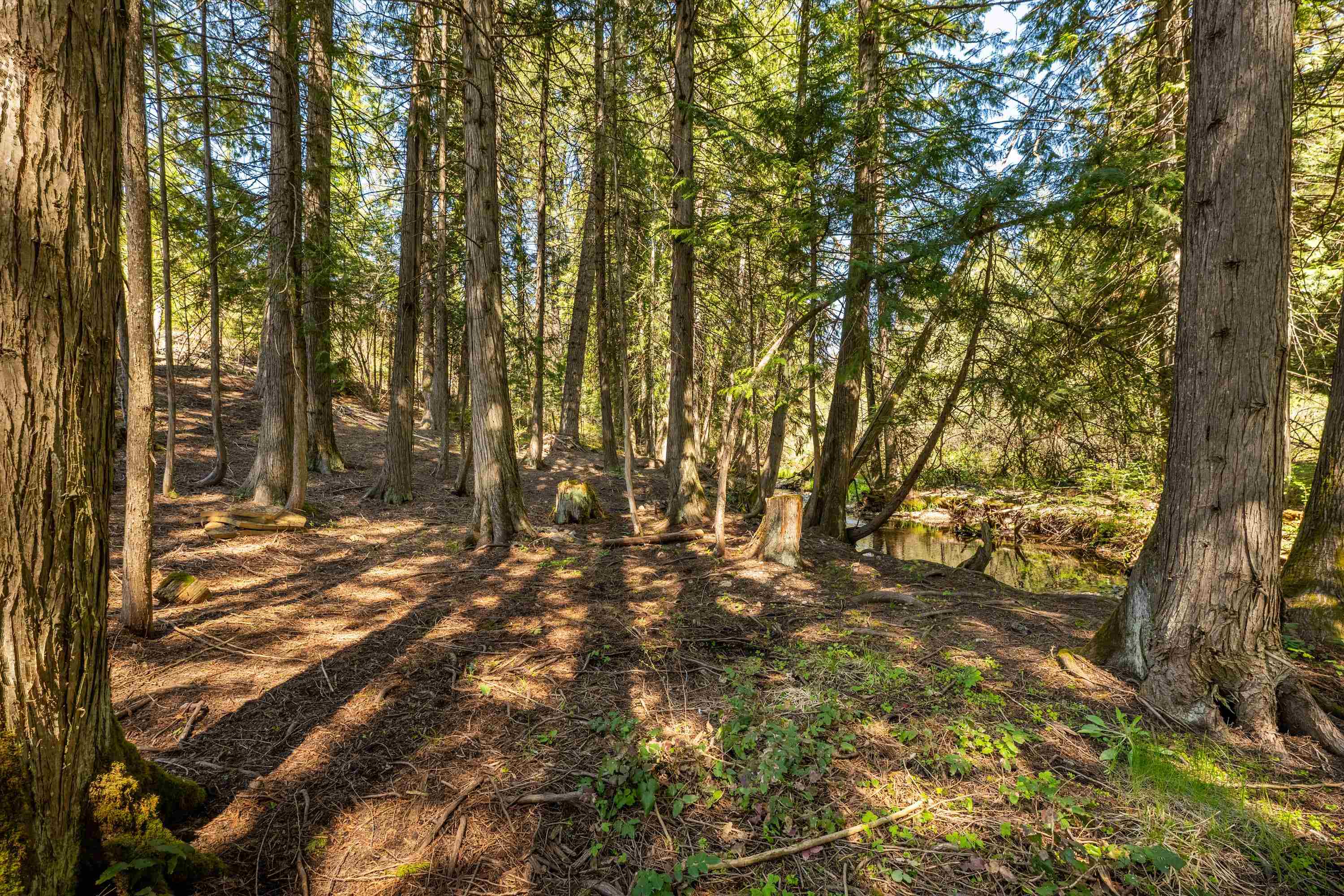3279 Waitts Lake Road Valley, WA 99181 - Photo 11 of 18