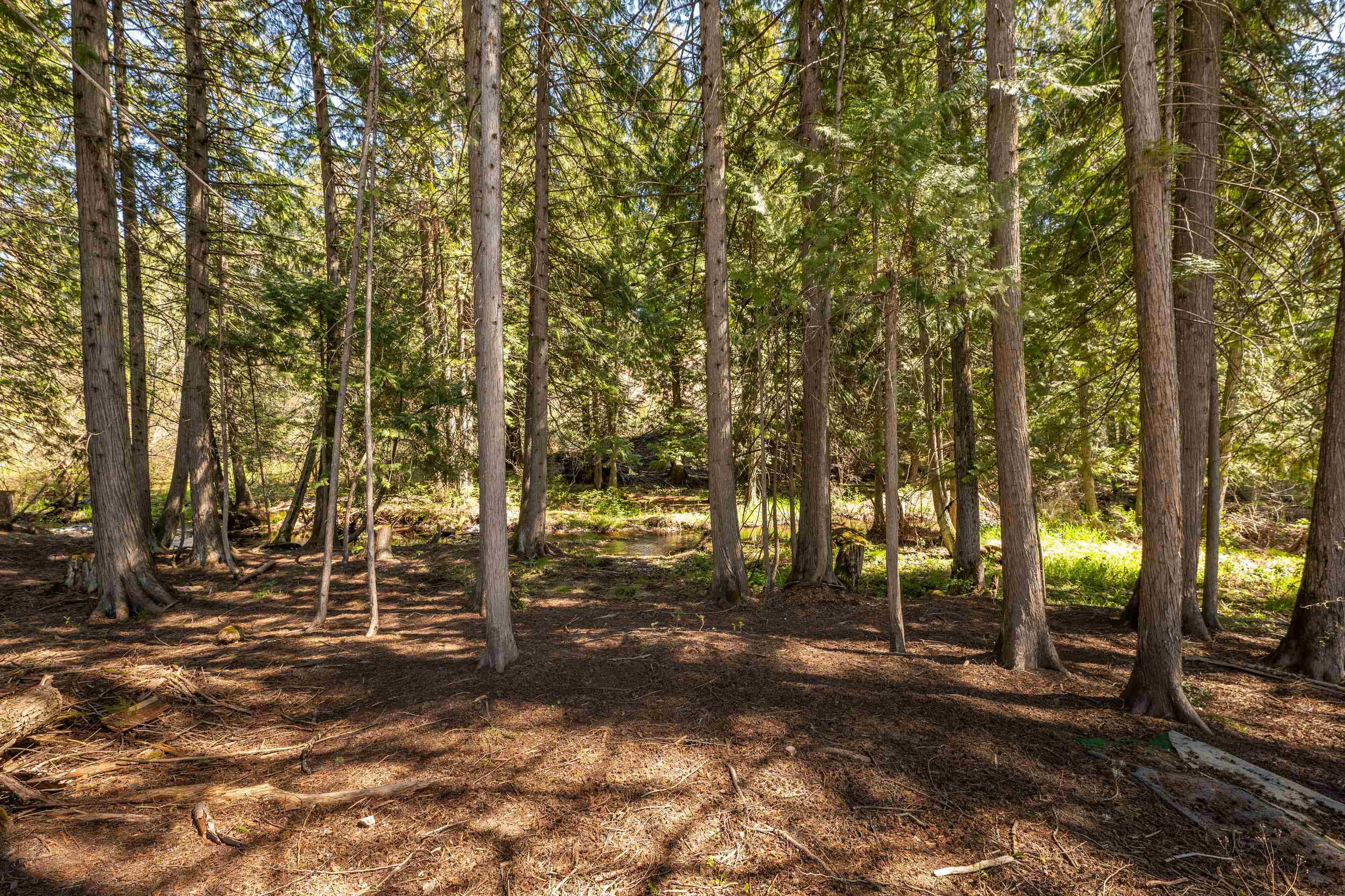3279 Waitts Lake Road Valley, WA 99181 - Photo 14 of 18