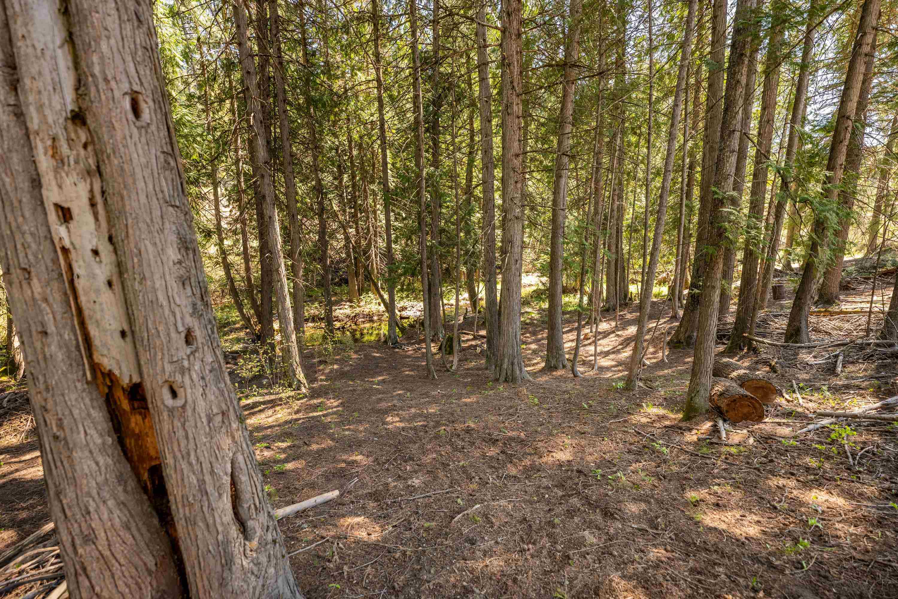 3279 Waitts Lake Road Valley, WA 99181 - Photo 5 of 18