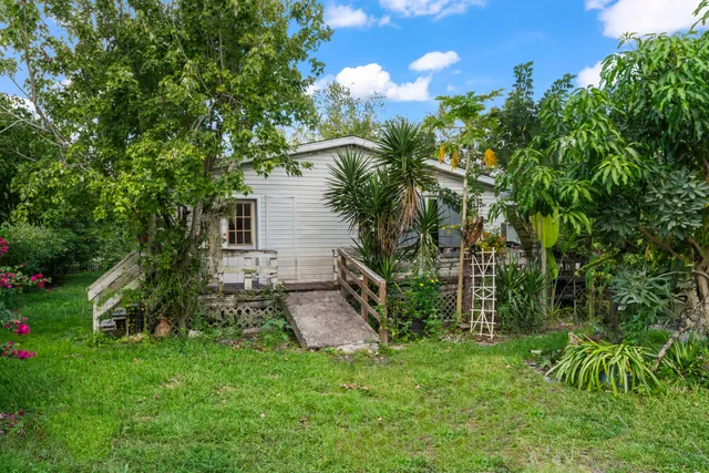 a view of a yard with plants and a large tree