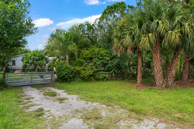 a view of a backyard with a small garden