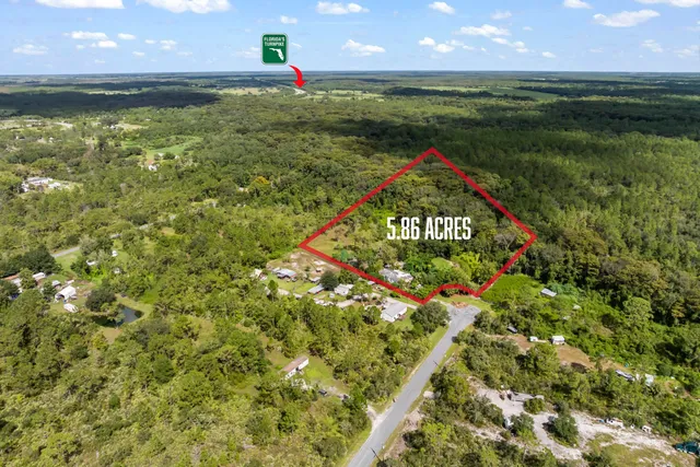 a picture of a huge green field with lots of bushes