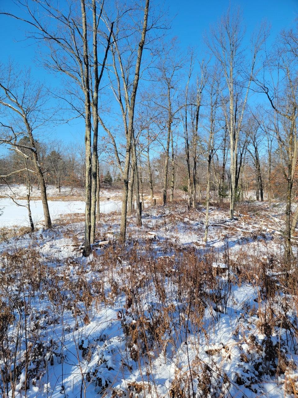 On Rollingwood Road Stone Lake, WI 54876 - Photo 24 of 32 Gallery Image 24