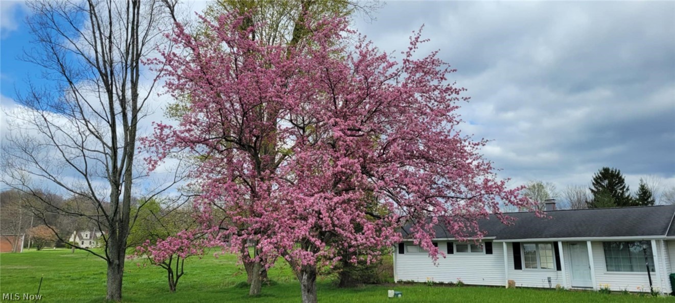 12781 Caves Road Chesterland, OH 44026 - Photo 3 of 28 Seasonal blooms on the tree in the front yard