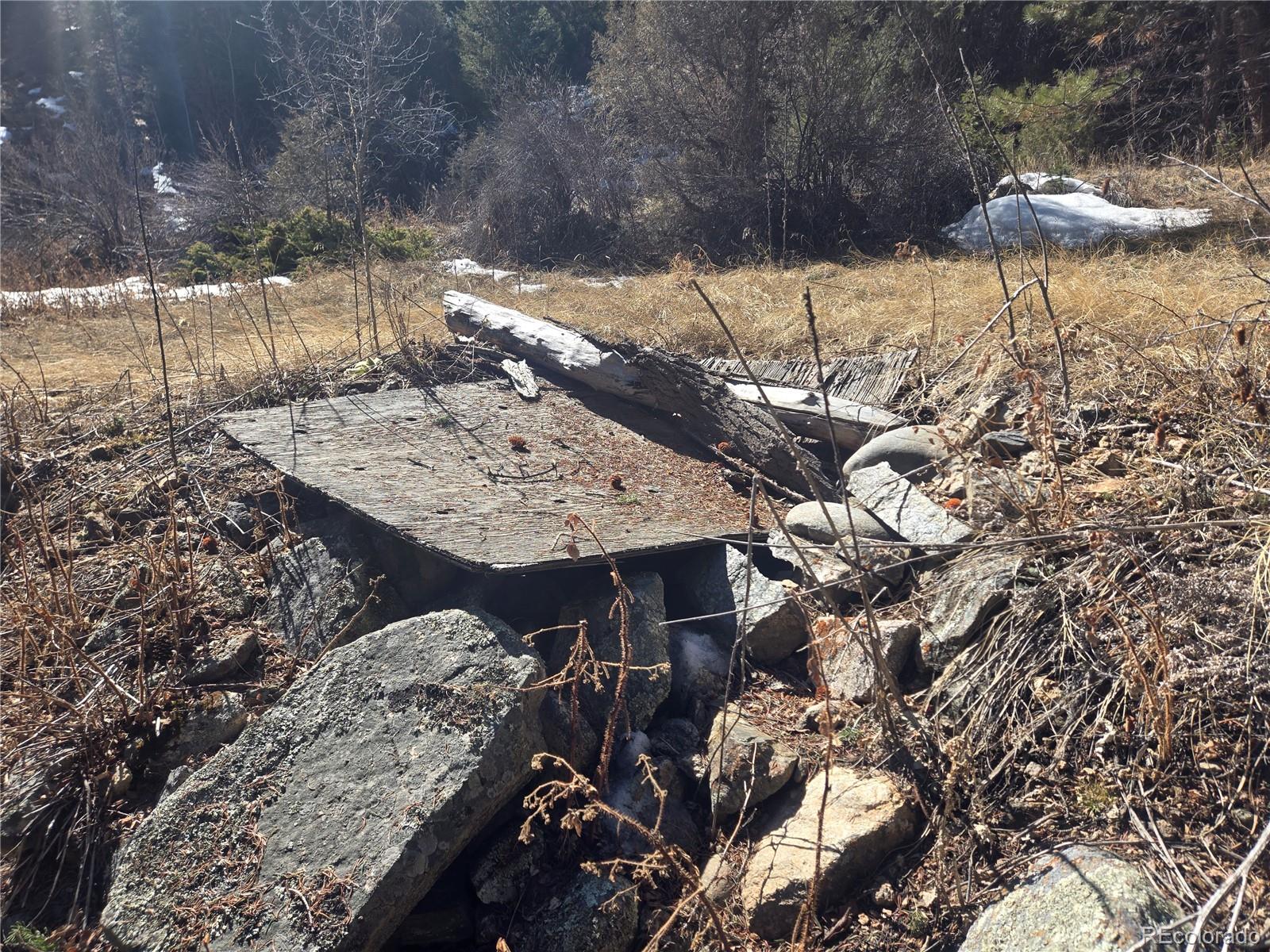Fall River Road Idaho Springs, CO 80452 - Photo 11 of 21 a view of a backyard