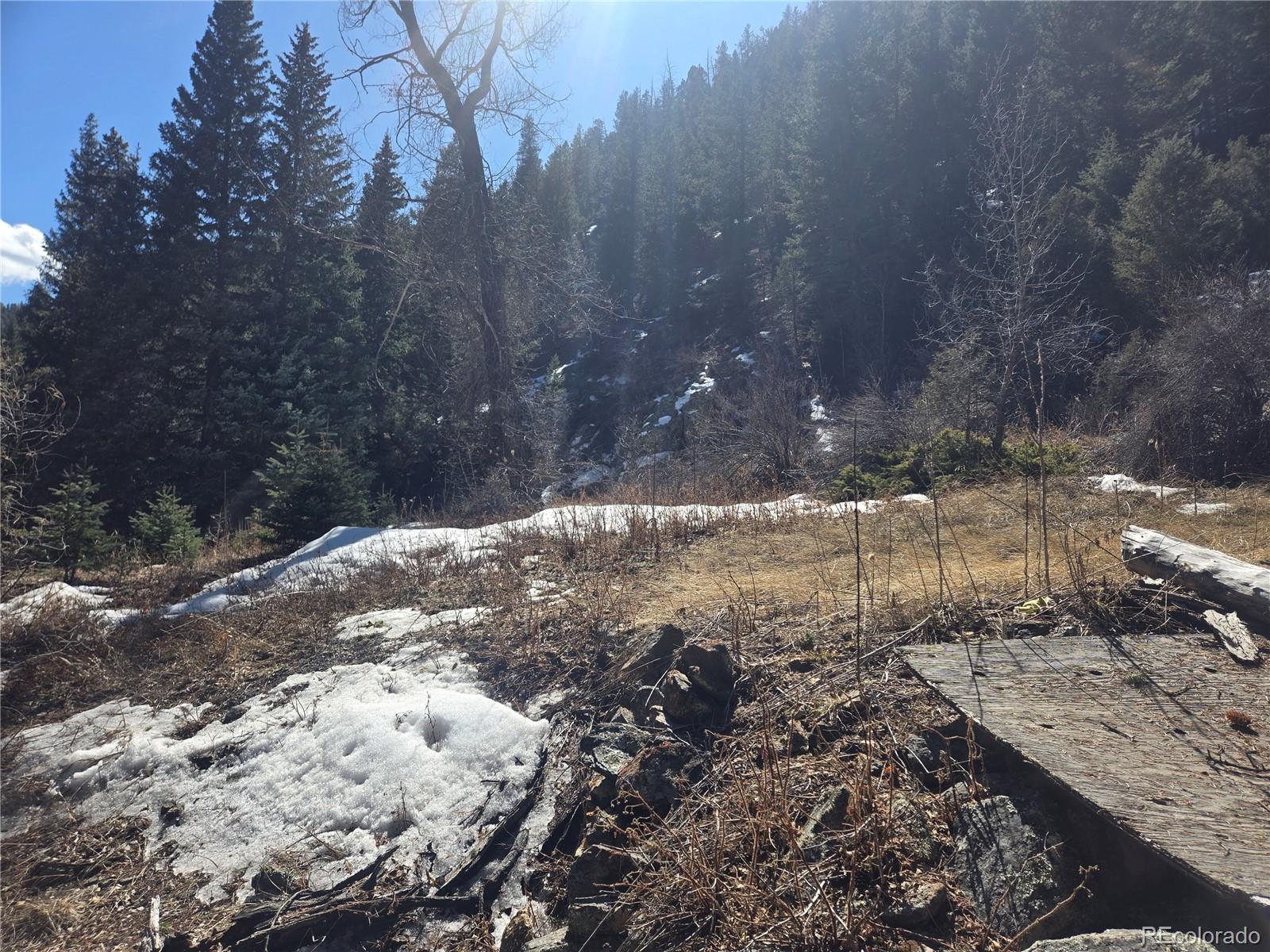 Fall River Road Idaho Springs, CO 80452 - Photo 12 of 21 a view of a yard with a yard