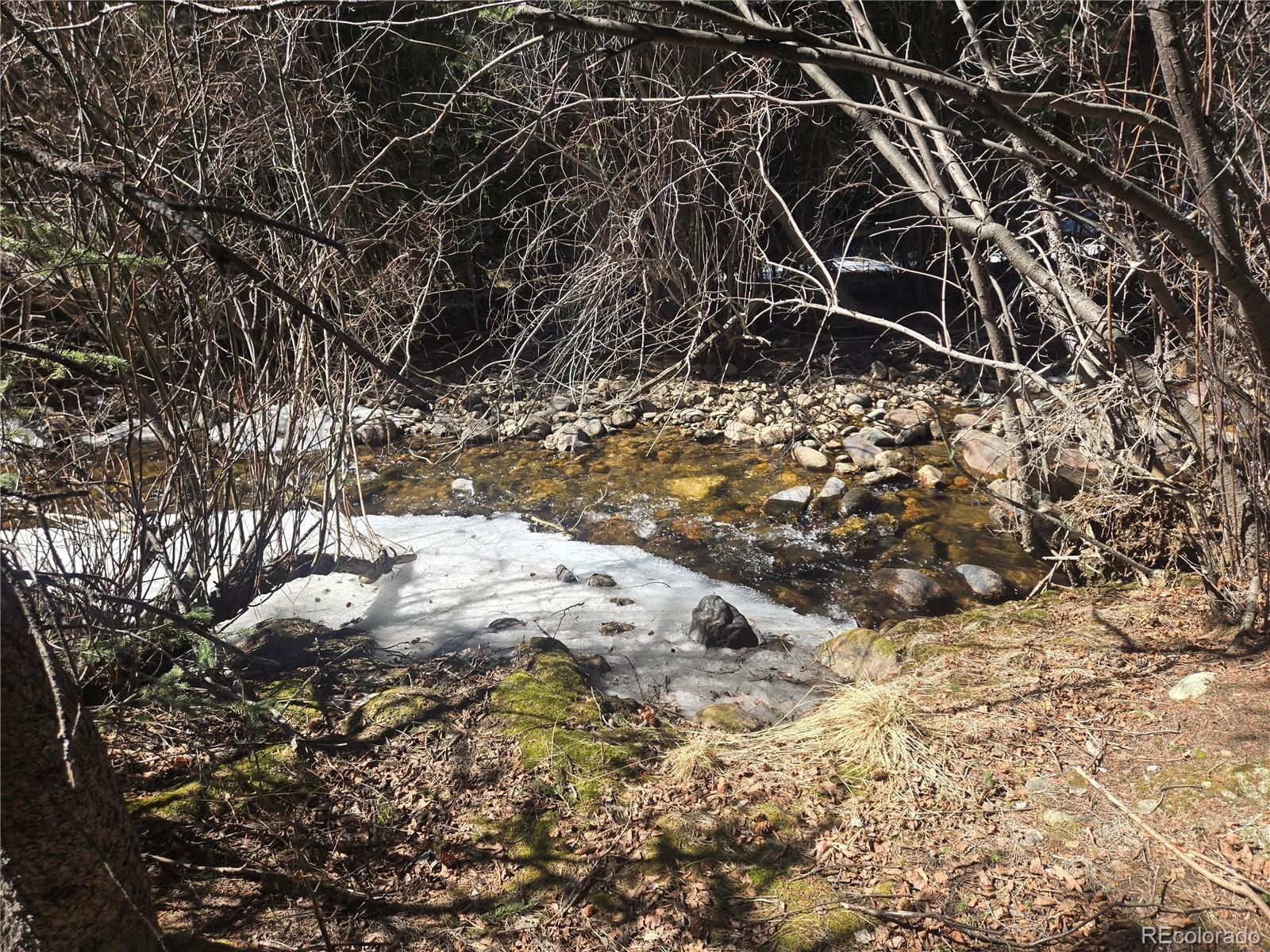 Fall River Road Idaho Springs, CO 80452 - Photo 13 of 21 a view of a forest covered with snow