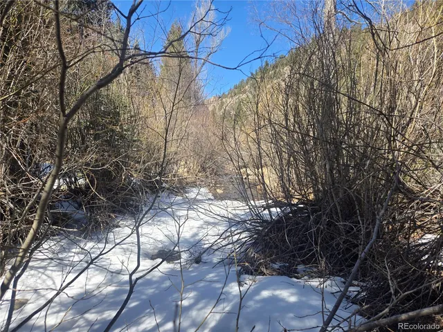 a view of yard from a patio