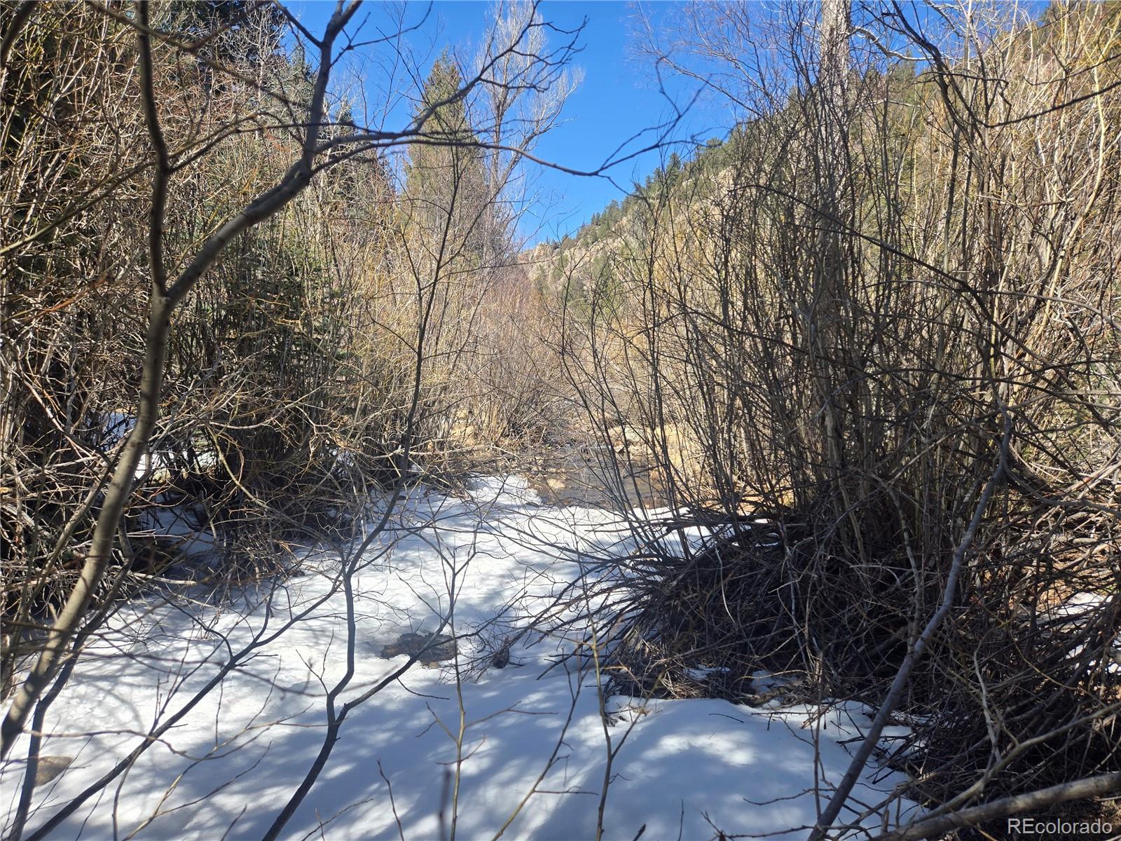 Fall River Road Idaho Springs, CO 80452 - Photo 14 of 21 a view of yard from a patio