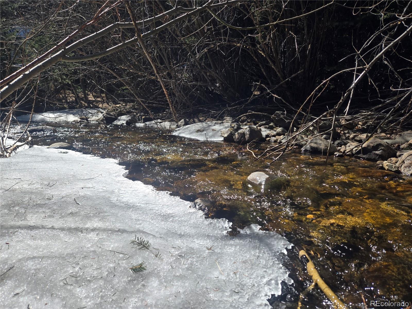 Fall River Road Idaho Springs, CO 80452 - Photo 15 of 21 a view of a yard with a tree