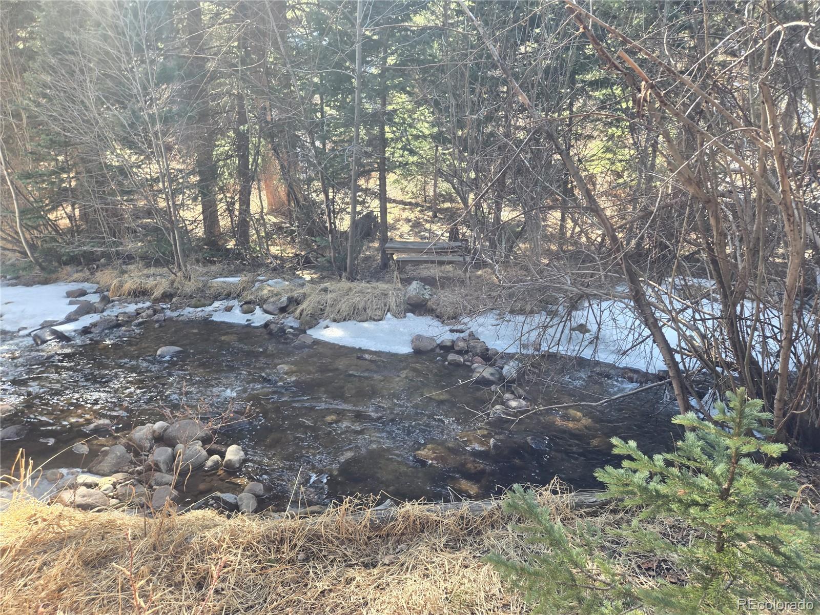 Fall River Road Idaho Springs, CO 80452 - Photo 17 of 21 a view of a yard with large trees