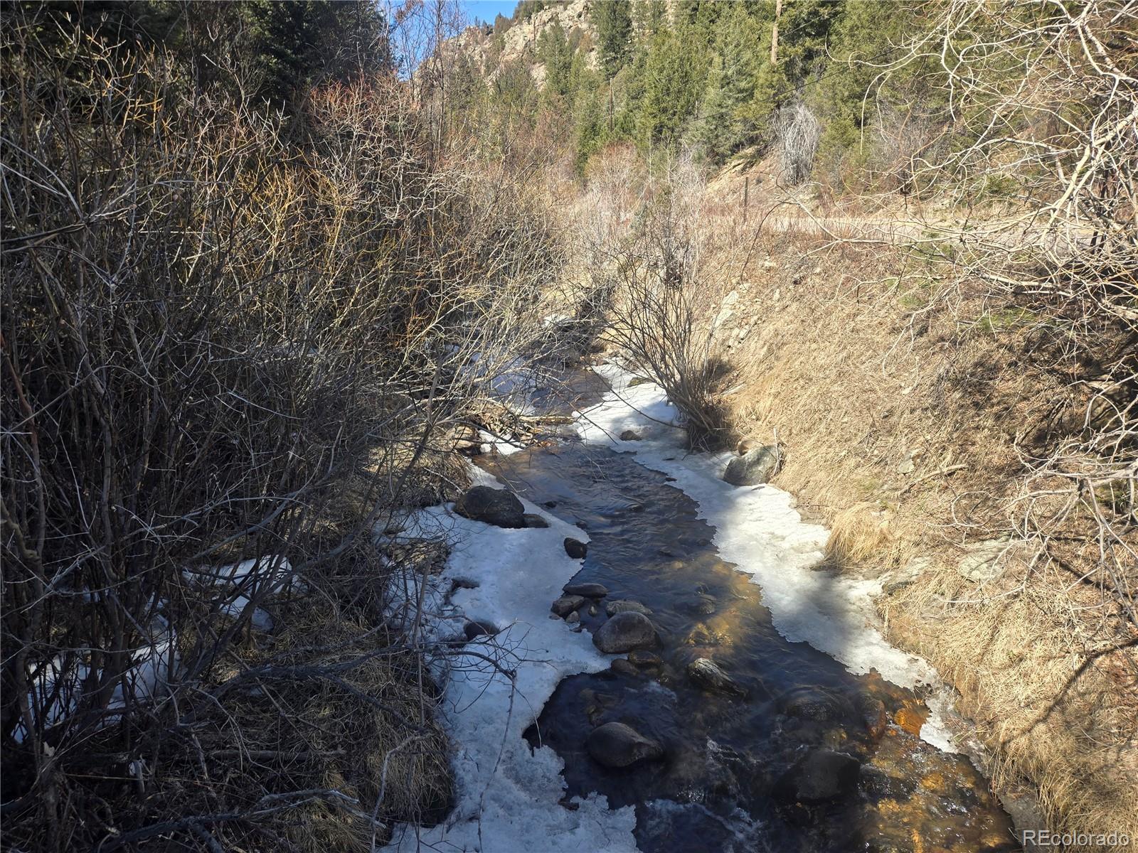 Fall River Road Idaho Springs, CO 80452 - Photo 2 of 21 a view of the tree in a forest