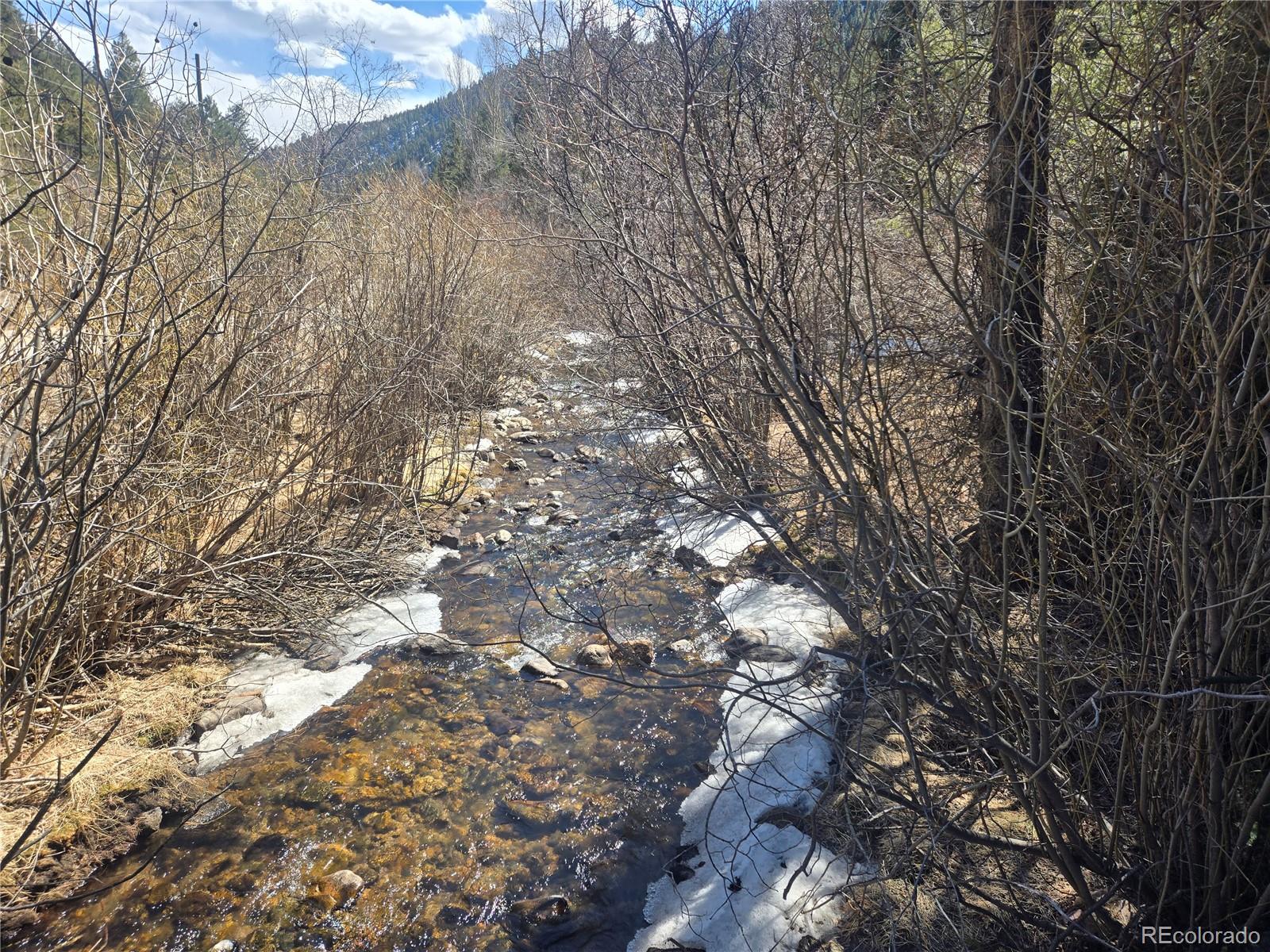 Fall River Road Idaho Springs, CO 80452 - Photo 3 of 21 a view of tree