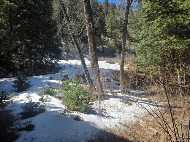 a view of outdoor space and yard