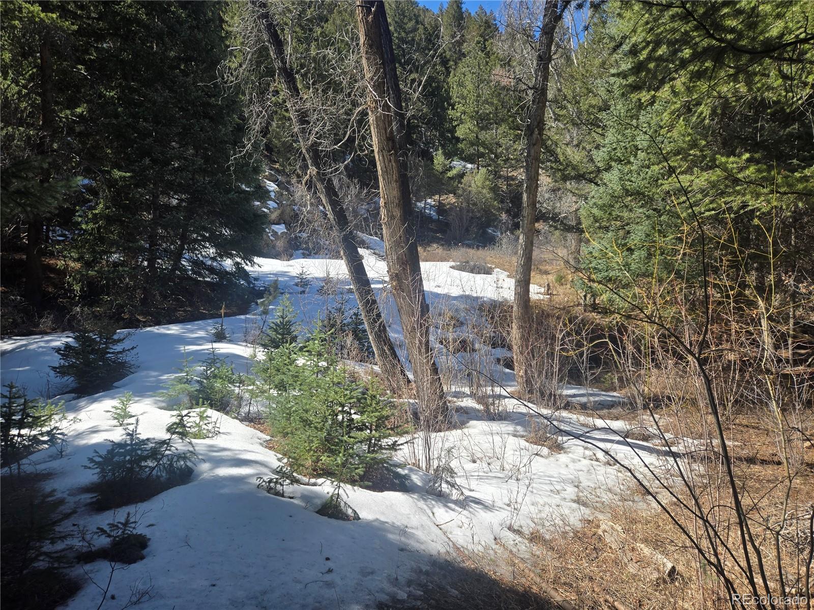 Fall River Road Idaho Springs, CO 80452 - Photo 4 of 21 a view of outdoor space and yard