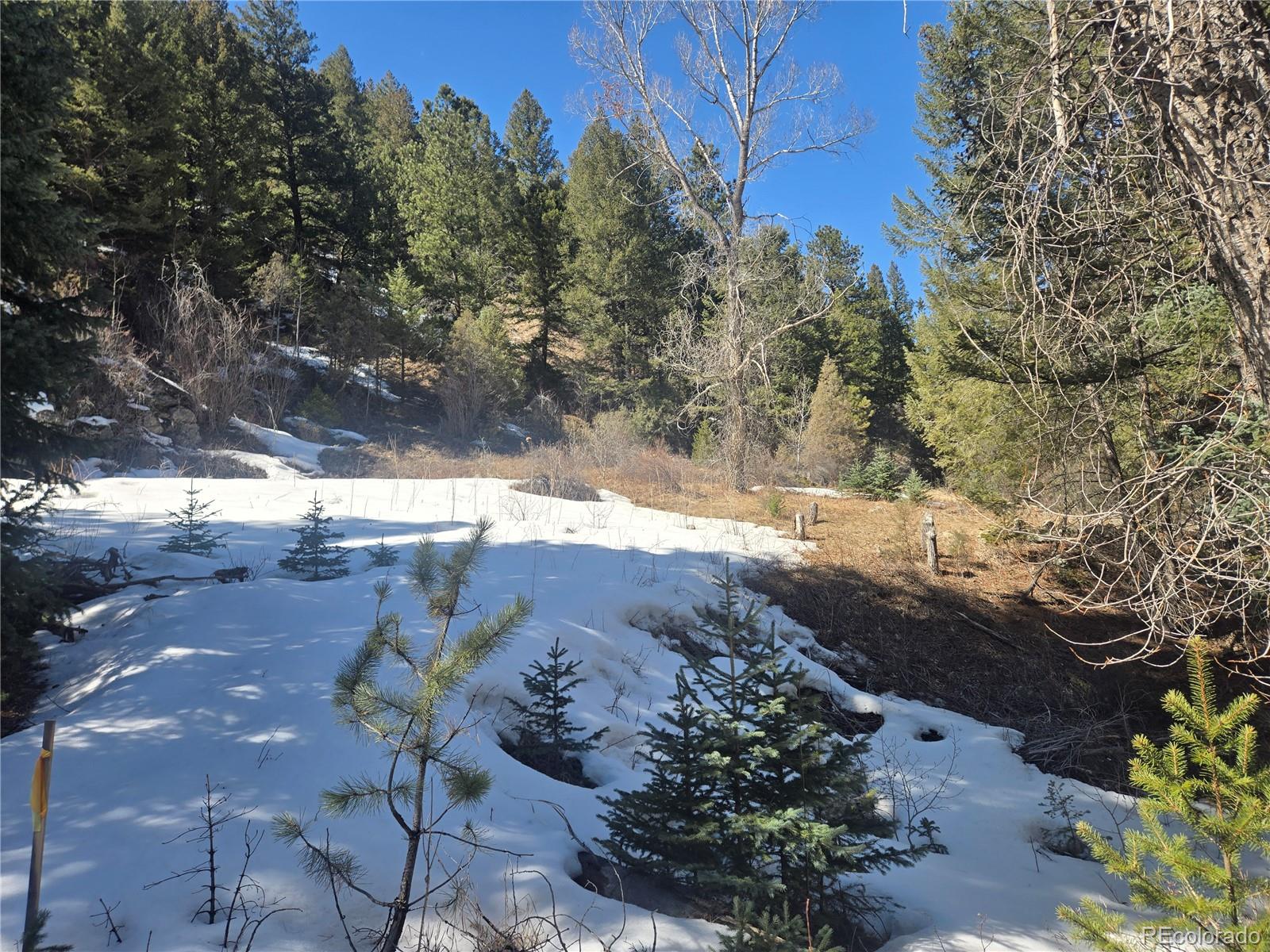 Fall River Road Idaho Springs, CO 80452 - Photo 5 of 21 a view of a yard with mountain view