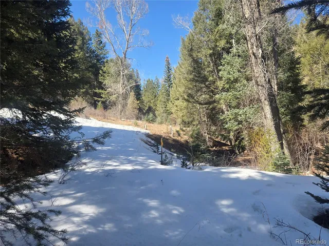 a view of outdoor space and trees