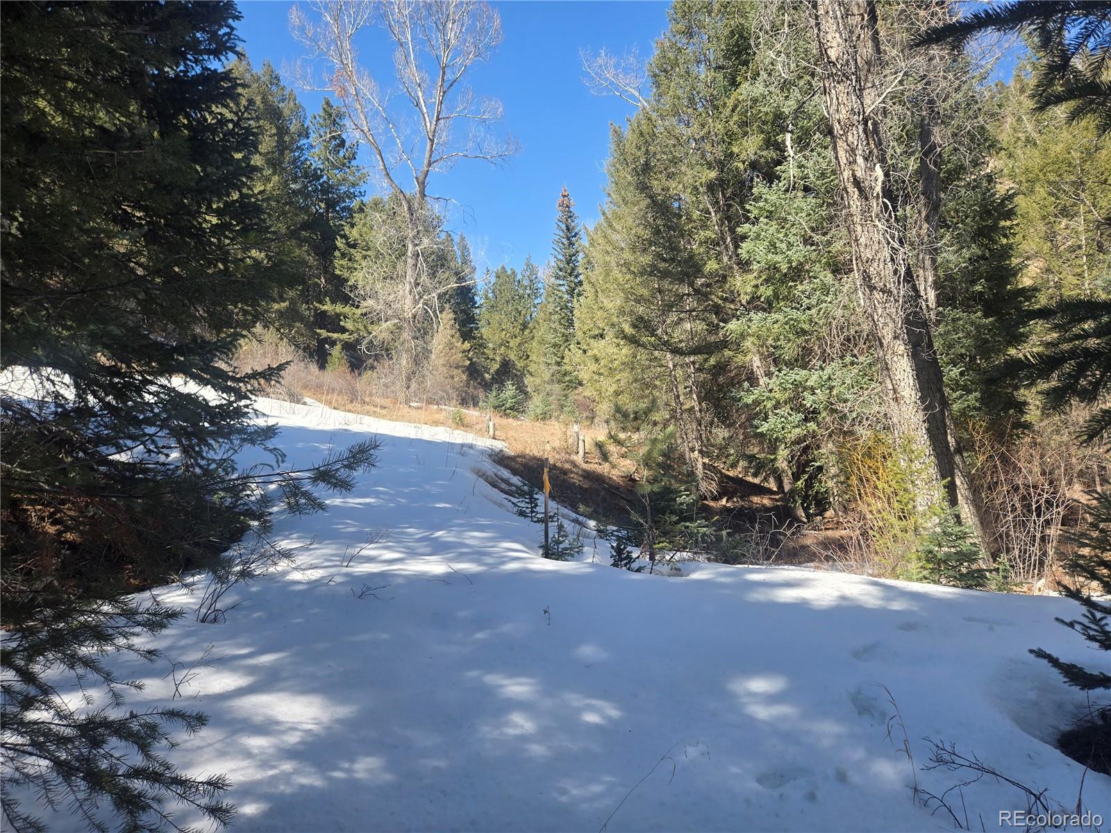 Fall River Road Idaho Springs, CO 80452 - Photo 6 of 21 a view of outdoor space and trees