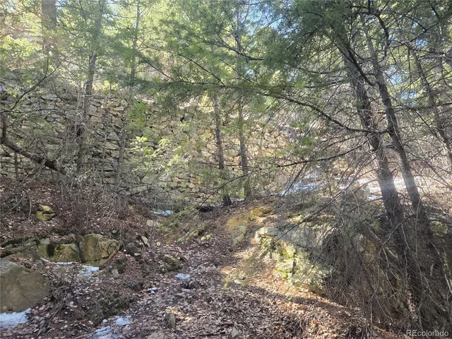 a view of a large tree
