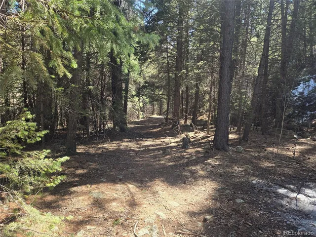 a view of road with trees