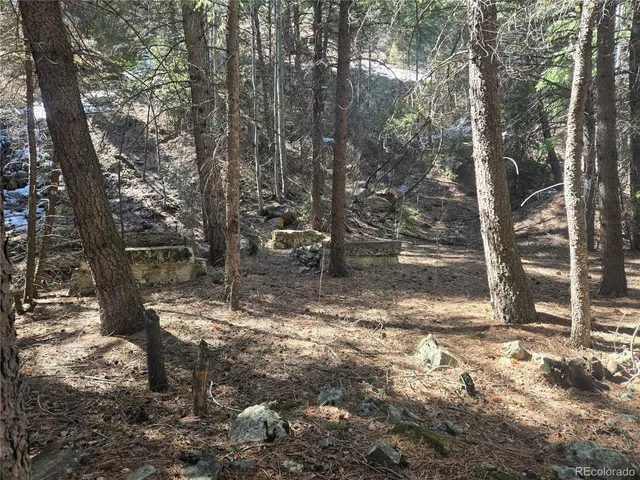 a view of a tree next to a yard