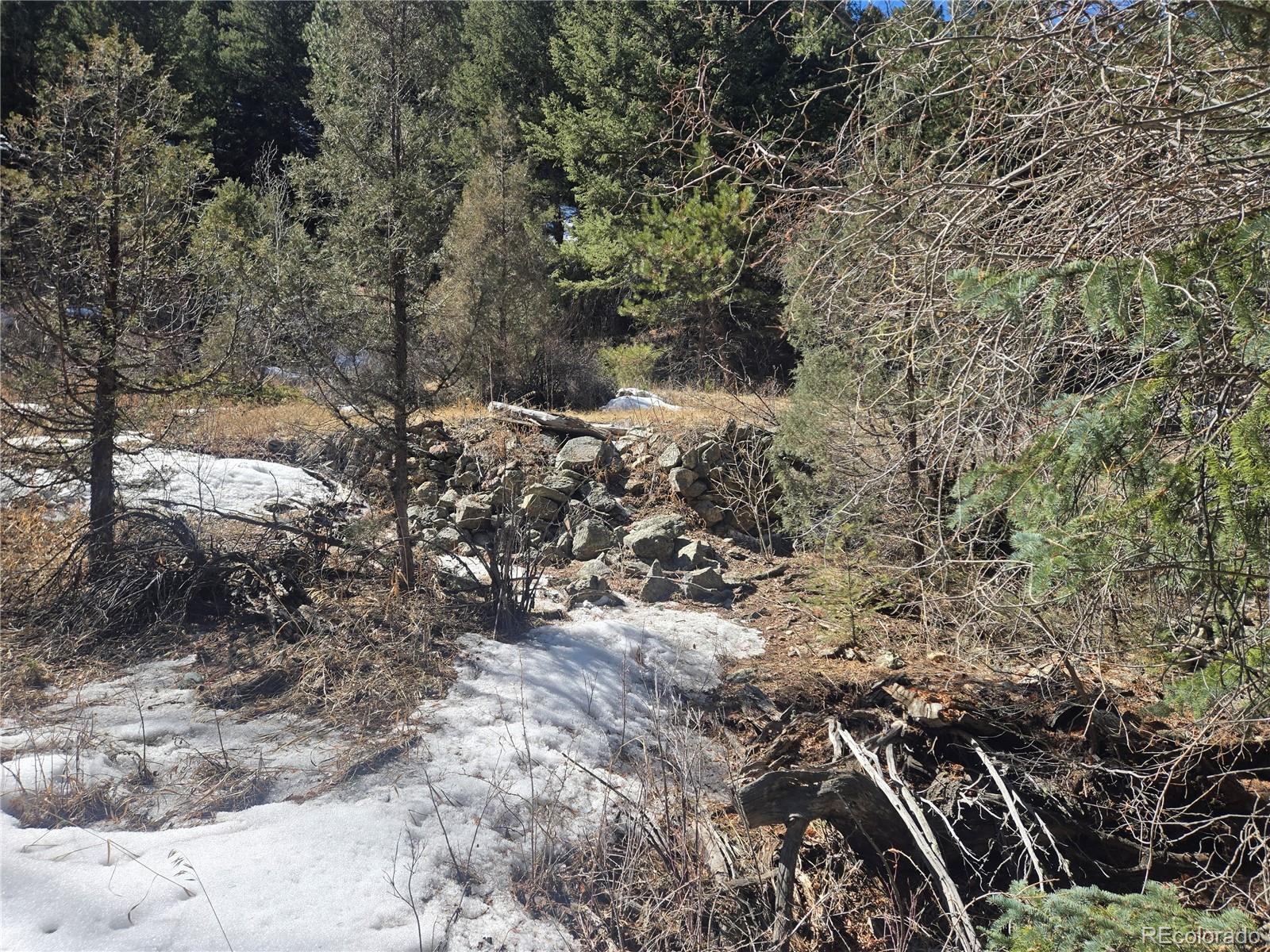 Fall River Road Idaho Springs, CO 80452 - Photo 10 of 21 a view of a yard with plants and trees
