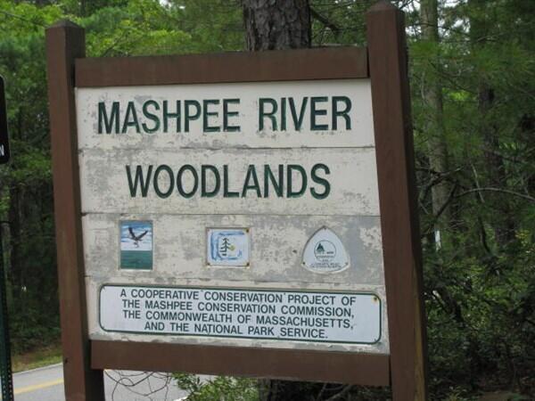 130 Mashpee Neck Road Mashpee, MA 02649 - Photo 51 of 52 MASHPEE RIVER WOODLANDS