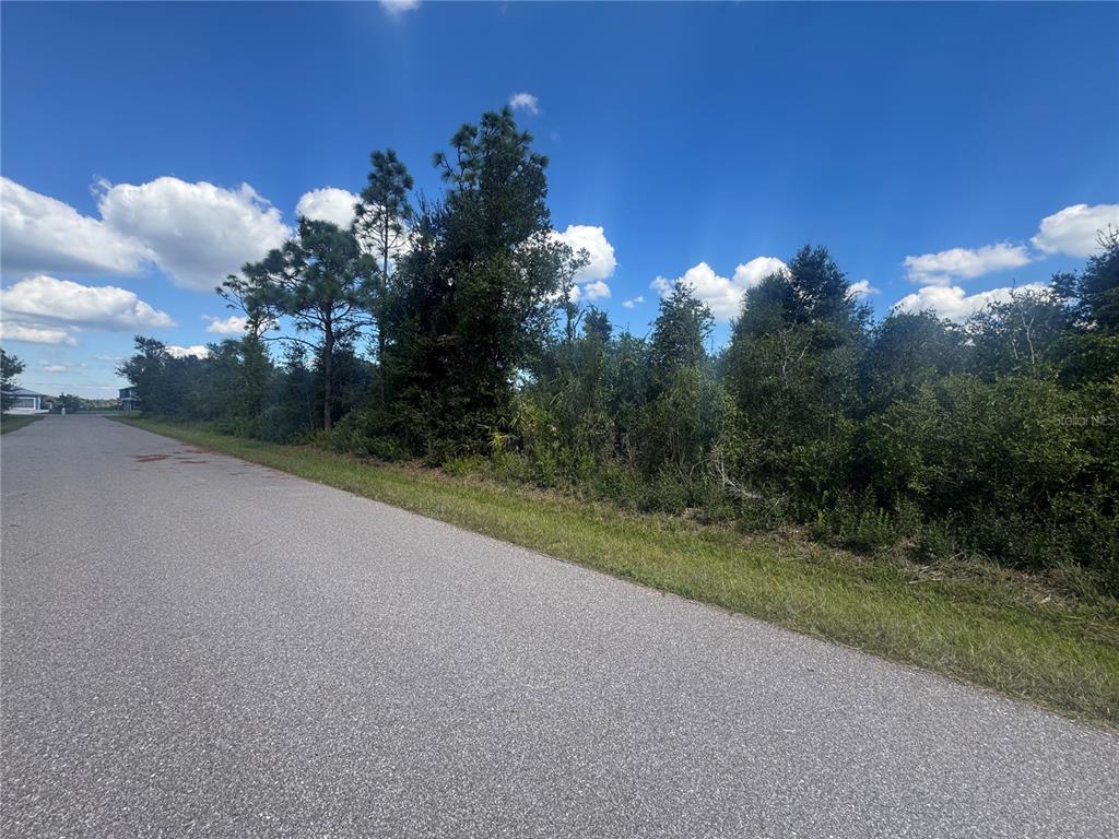 54 Wilmers Road Punta Gorda, FL 33982 - Photo 3 of 7 a view of a field with a tree in the background
