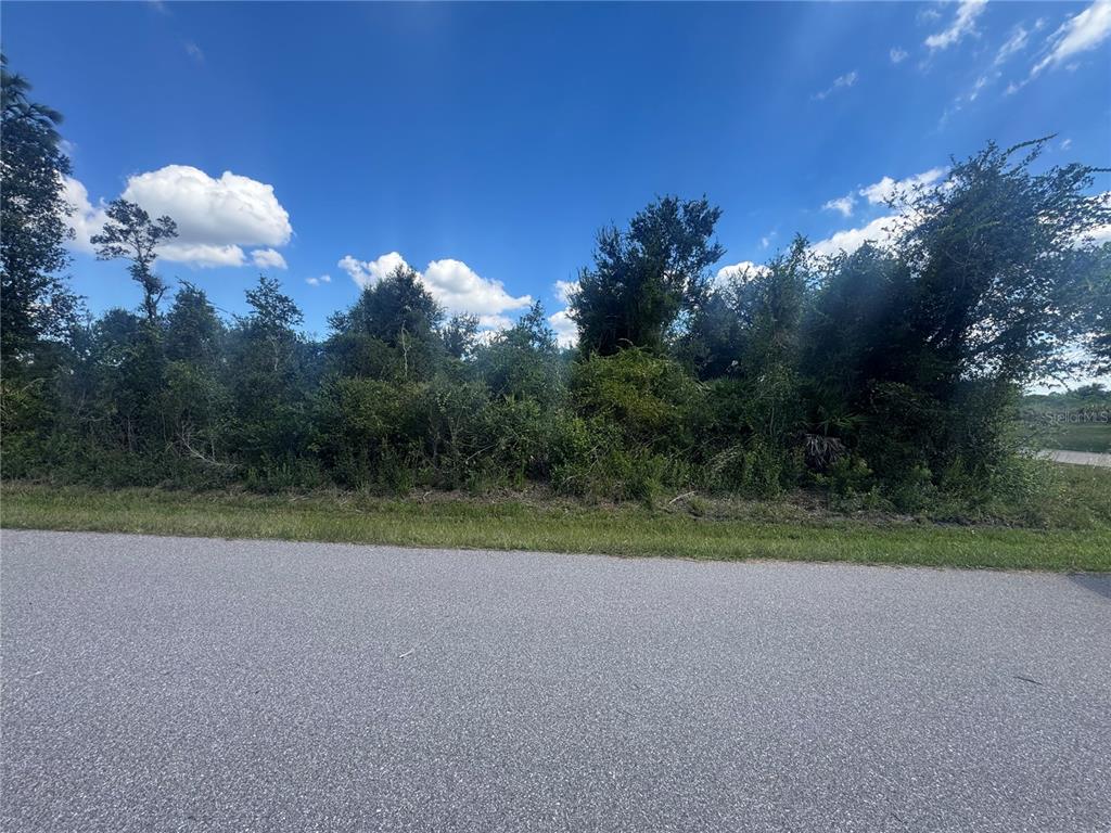 54 Wilmers Road Punta Gorda, FL 33982 - Photo 4 of 7 a view of a play ground in a yard