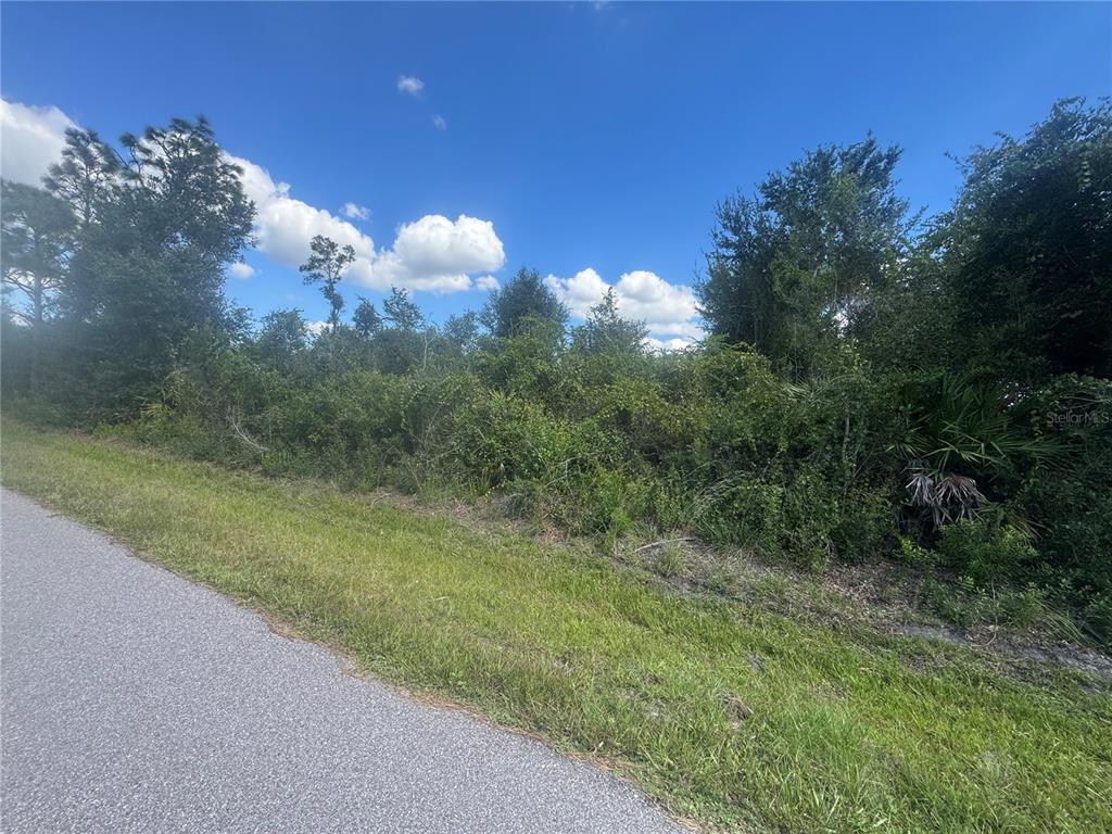 54 Wilmers Road Punta Gorda, FL 33982 - Photo 5 of 7 a view of a street both of side of a yard
