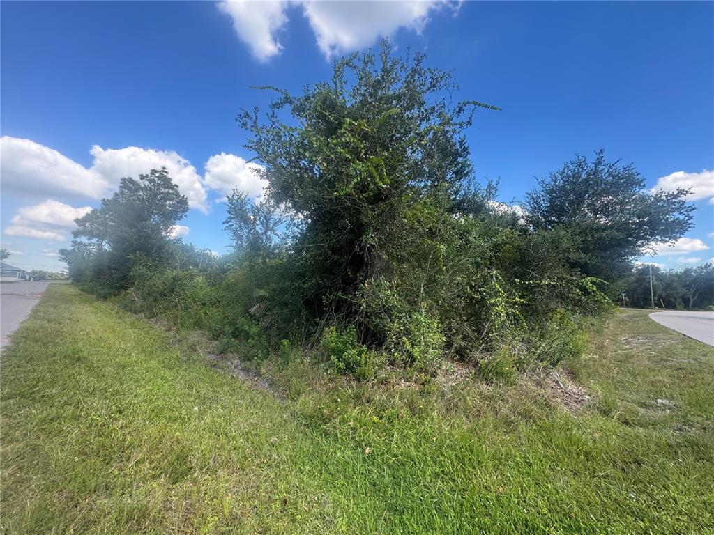 54 Wilmers Road Punta Gorda, FL 33982 - Photo 6 of 7 a view of a tree in a yard