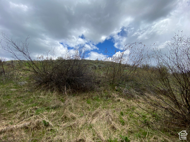41 Grouse Loop Road, Unit 41 Freedom, WY 83120 - Photo 17 of 33 View of nature featuring rural landscape