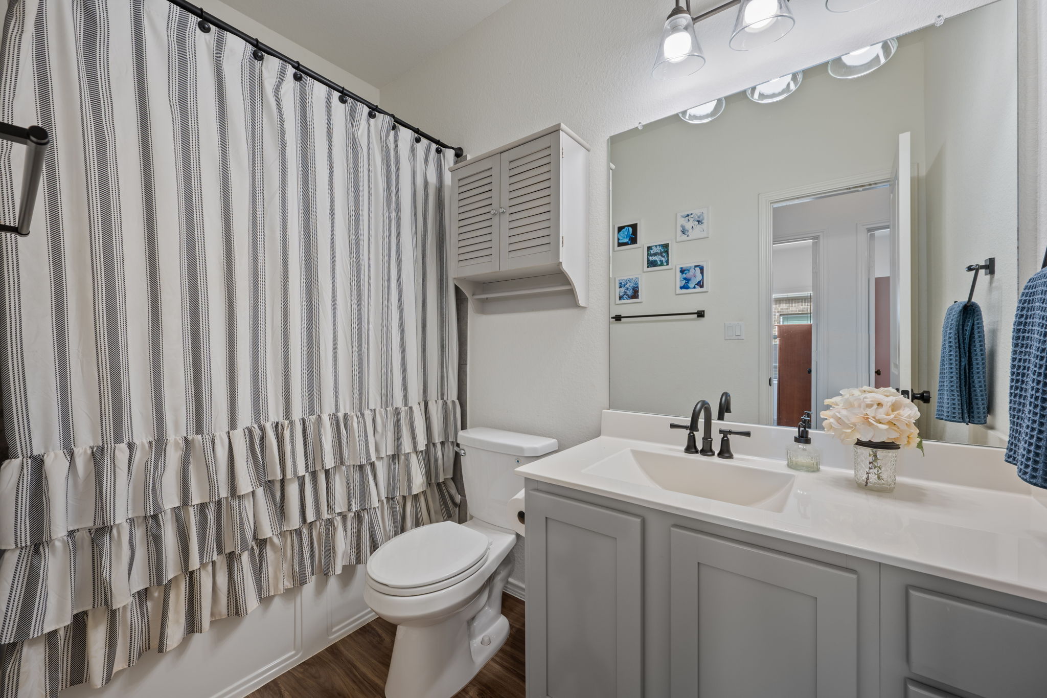 705 Mallow Road Leander, TX 78641 - Photo 20 of 29 a bathroom with a toilet a sink and mirror